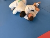 3 Jours de stage pour les Judokas du Budokan Chalonnais 