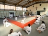  Les judokas du JCSM en stage sportif ! 