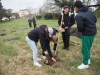 Les lycéens de Mathias mobilisés pour l'avenir forestier de Chalon 