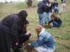 Les lycéens de Mathias mobilisés pour l'avenir forestier de Chalon 