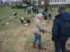 Les lycéens de Mathias mobilisés pour l'avenir forestier de Chalon 