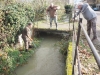 Un silure de 2,33m extrait du Giroux à Mercurey 