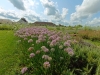 Le 24e Festival des jardins de la Saline Royale d'Arc et Senans vous attend jusqu'au 20 octobre 