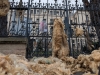 LOUP EN SAONE ET LOIRE - Exaspération et colère des éleveurs de Saône et Loire face au Préfet 