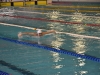 37e Meeting National du Grand Chalon de Natation (Suite) : Anastasia Urbaniak et Angèle Maumy, les reines de la natation chalonnaise