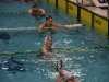 37e Meeting National du Grand Chalon de Natation (Suite) : Anastasia Urbaniak et Angèle Maumy, les reines de la natation chalonnaise