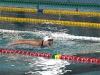 40e Meeting National du Grand Chalon de Natation (Dimanche) : Roman Mityukov (Genève 1885)  roi du bassin chalonnais !