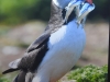 Club Photo de Varennes-le-Grand : Une exposition sur la nature sauvage à ne pas manquer ! 