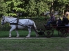 Retour en images sur la Fête des Aubépins 