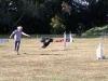 2 jours de concours d’agility organisés par le club canin EACF de Fontaines.