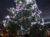 Saint Rémy : Le grand sapin s’est illuminé symbole des fêtes de Noël et du lancement de la soirée "téléthon" de la commune.