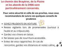 Du côté de Rully, on appelle à la vigilance sangliers 