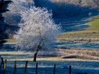 Quand le givre devient un vrai décor... 