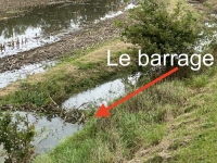 Affaire du barrage du castor : Droit de réponse de l’OFB qui conteste le «classement sans suite»