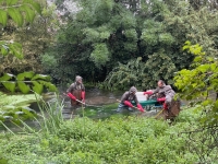 Pêche électrique dans la Bouzaize qui se prépare à une restauration écologique majeure