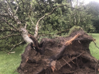 Violents orages ce mercredi matin dans l'Ouest de la Bourgogne 