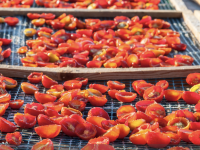 Comment faire sécher les tomates au soleil pour les conserver tout l'hiver ?