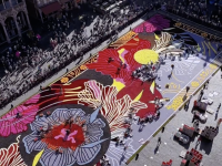 Incroyable tapis de fleurs à Bruxelles 