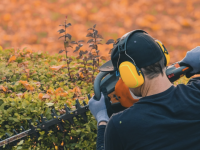 Rabattre une haie en automne... attention à l'erreur fatale ! 