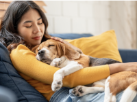 Les chiens sont bien sensibles à notre stress 