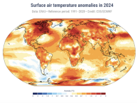 Janvier 2025 est le mois de janvier le plus chaud jamais mesuré dans le monde, selon l'observatoire européen Copernicus