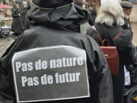 "On ne voit plus de papillons" : une marche à Dijon pour dénoncer le recul de la biodiversité en Côte-d'Or