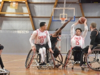 Coupe d’Europe basket fauteuil - Après un money-time mémorable face au CS Meaux en Championnat, l’Elan à Théssalonique