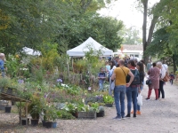 La première  Foire aux plantes et couleurs d'automne au Château de la Loyère remporte un vif succès 