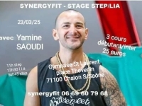 Synergyfit organise un stage fitness avec Yamine Saoudi 