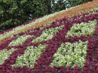 Le thème du parterre 2025 de la Tour du Doyenné  est connu 