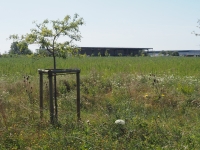 29 hectares de verdure au coeur du plus grand pôle industriel entre Paris et Lyon 