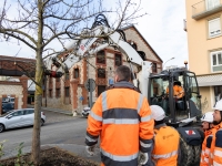 Réaménagement du quai Saint-Cosme - 2,8 millions d'euros  pour transformer l’entrée sud de la ville de Chalon !