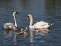 Merci à Maurice pour cette belle photo de famille ! 