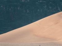 Magique Dune du Pilat confinée...  