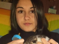 Chloé, 14 ans, sauve un petit chat jeté par la fenêtre d’une voiture