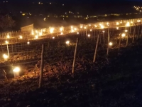 Flocon de neige et températures en berne... la nuit s'annonce longue pour la Saône et Loire 