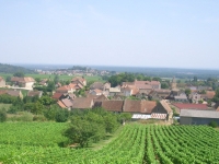 A Saint-Vallerin, un appel à participer à un projet de jardin de sous-bois 