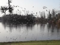 Un air très océanique sur le lac des Près Saint Jean