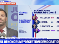 REGIONALES - Julien Odoul lance un appel "aux 530 000 électeurs" qui avaient soutenu Marine Le Pen 