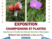 La Société des Sciences Naturelles & Mycologique de Chalon-sur-Saône expose les 16 et 17 octobre 