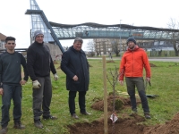 L'IUT de Chalon sur Saône se dote d'un verger 