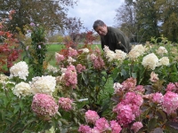 Finalement la Foire aux Plantes Rares de La Ferté passe son tour en avril 