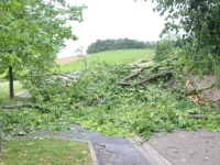 Le bureau de la Sécurité civile et de la défense de Saône et Loire annonce des vents jusqu'à 110 km/h