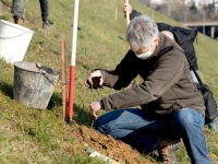 L’ONG Forestiers du Monde réalise la première afforestation citoyenne de délaissé routier en France