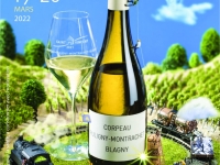 SAINT-VINCENT TOURNANTE Puligny-Montrachet, Corpeau et Blagny - Toutes les infos 