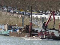 L'heure est au nettoyage de la Saône