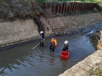 200 kg de poissons sauvés d’une mort certaine dans le canal du Centre