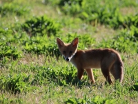 Jolie rencontre au Pont Paron à Saint Rémy 