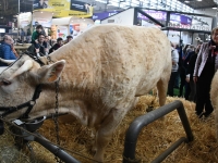 La Bourgogne-Franche Comté à l'honneur au Salon de l'agriculture de Paris