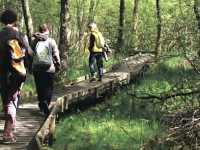 Les balades au parc régional du Morvan jusqu’au 15 août